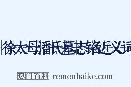 徐太母潘氏墓志铭近义词是什么意思的图片